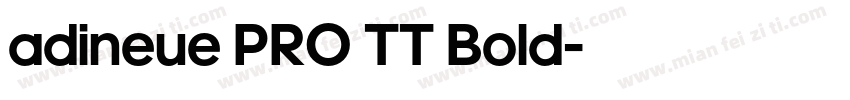 adineue PRO TT Bold字体转换